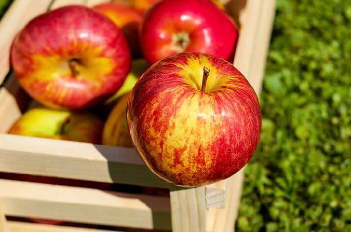 Apfel Diät - schlank durch Obst